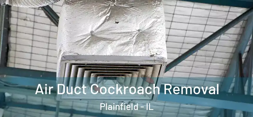 Air Duct Cockroach Removal Plainfield - IL