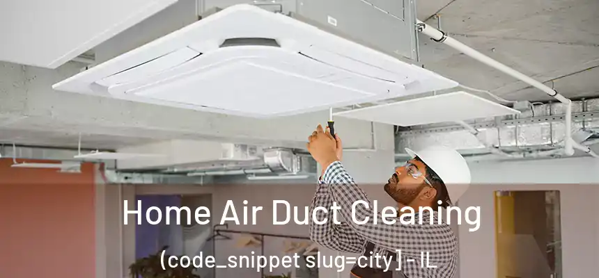  Home Air Duct Cleaning (code_snippet slug=city] - IL