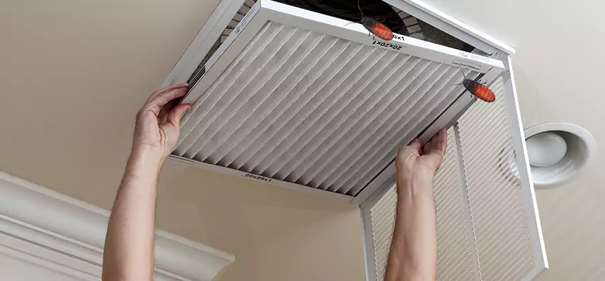 Preventive Cockroach-Proofing for Ducts in Plainfield