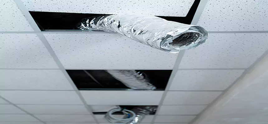 Our Air Duct Pet Hair Removal Services in Plainfield, IL