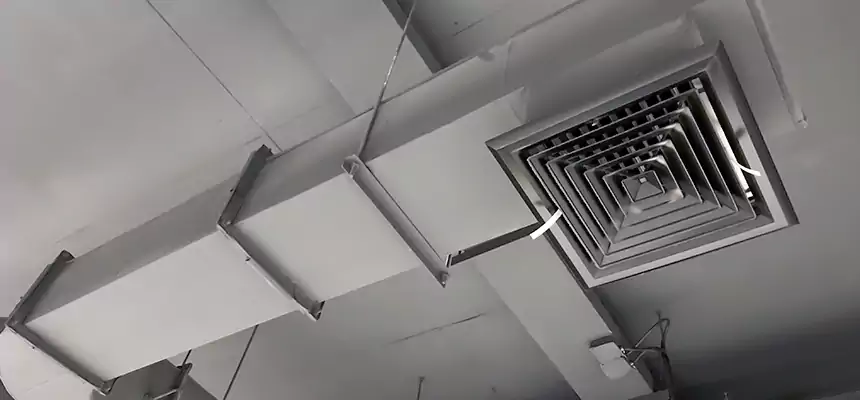 Our Pest Removal From Ducts Services in Plainfield, IL