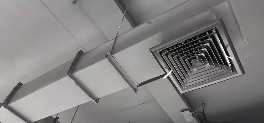 Our Rodent Droppings In Vents Services in Plainfield, IL