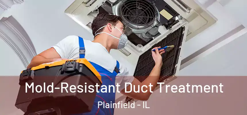  Mold-Resistant Duct Treatment Plainfield - IL