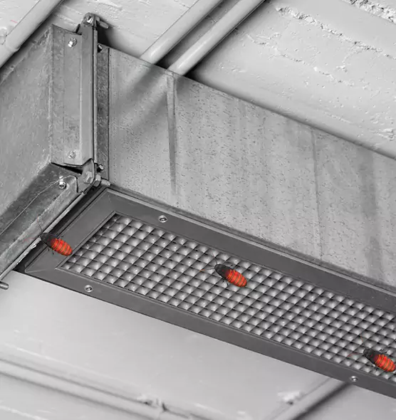 About Air Duct Cockroach Removal in Plainfield, IL