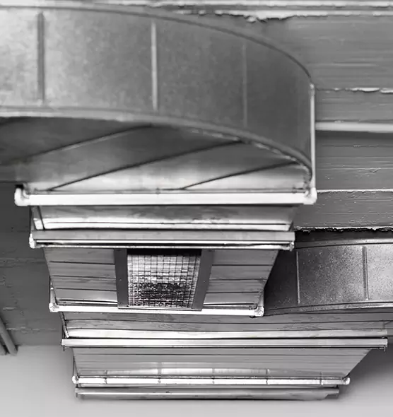 Professional Air Duct Pest Removal in Plainfield, IL