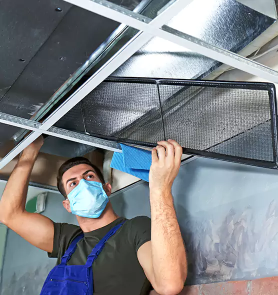 Professional Air Duct Pollen Cleaning in Plainfield, IL