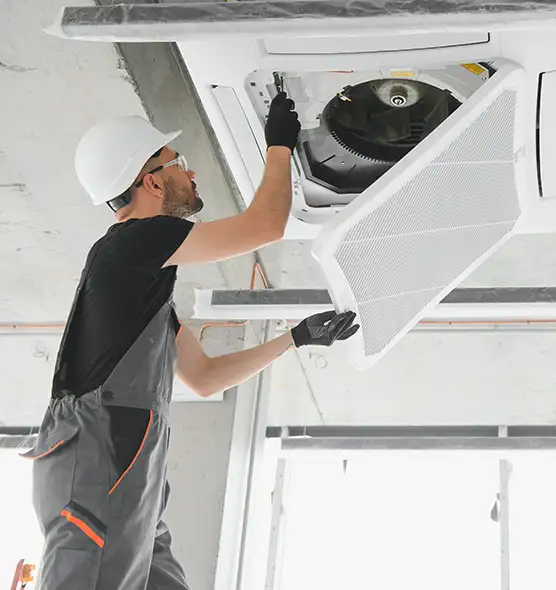 About Air Duct Rodent Removal in Plainfield, IL