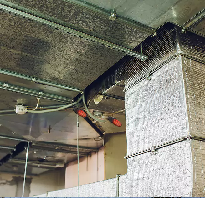 Why Homeowners & Businesses Trust Us in Plainfield, IL?