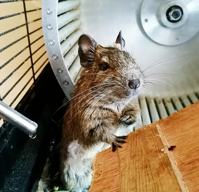 Why Homeowners & Businesses Trust Us Plainfield, IL