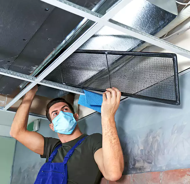 Why Homeowners Businesses Trust Us in Plainfield, IL