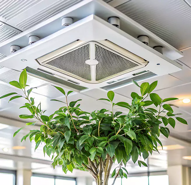 Why Homeowners & Businesses Trust Us in Plainfield, IL?