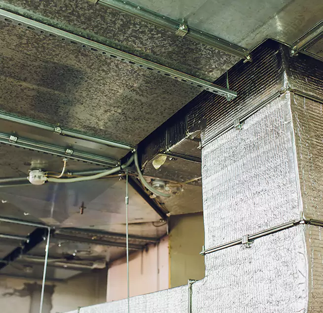 Why Homeowners & Businesses Trust Us in Plainfield, IL?